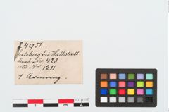 Etiketten zu Bronzeknotenarmreif (NHMW-PRAE-024951)